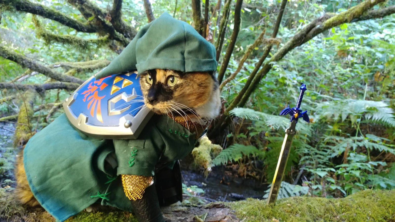 LINK